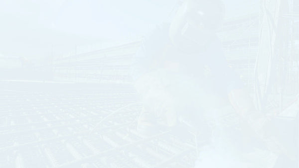 Level of Detail and Level of Information (LOD and LOI)