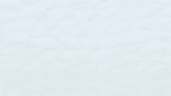 Estimate Projects better with Machine Learning Technology