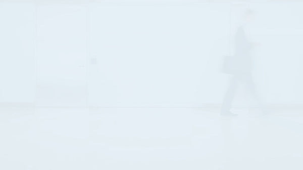 NEC4 ECS Programme Submission Template