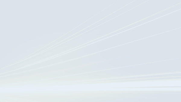 The Importance and Content of the Project Execution Plan and Health and Safety