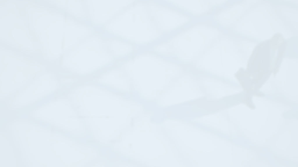 NEC4 ECC Contractor Notification Template