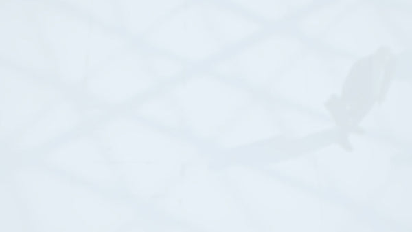 NEC4 ECC Contractor Notification Template