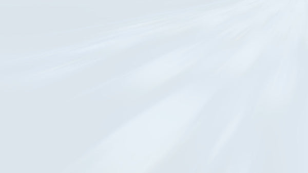 People, Performance and Principles: The Infrastructure and Projects Authority priorities