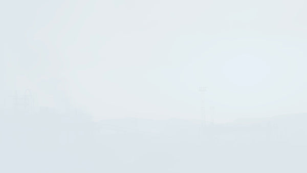 What are Employer's Information Requirements? (EIRs)