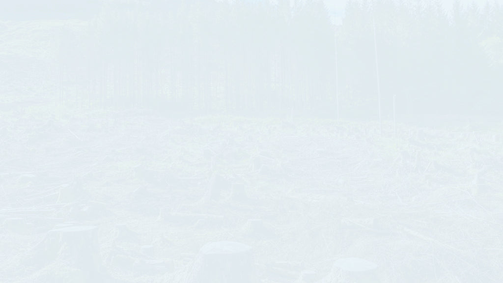 An Overview of Payment (Part 1) Employer's Obligation to Pay