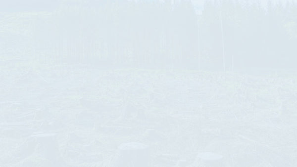 NEC4 TSC Payment Application and Certificate Template