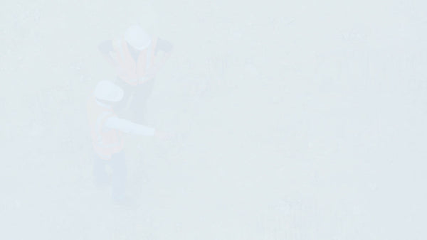 Work and Vacation Become Workation: New HR Trends and Practical Implications