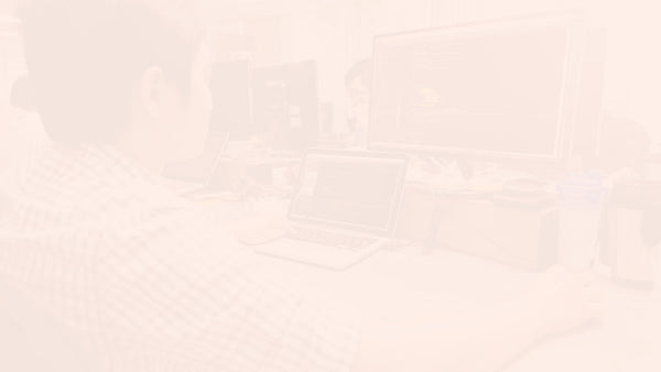 How Contractors of the Administration can apply for a Revision of Prices in their Contracts