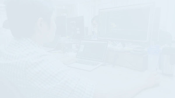 Understanding the Detail of the Lifecycle of a Project