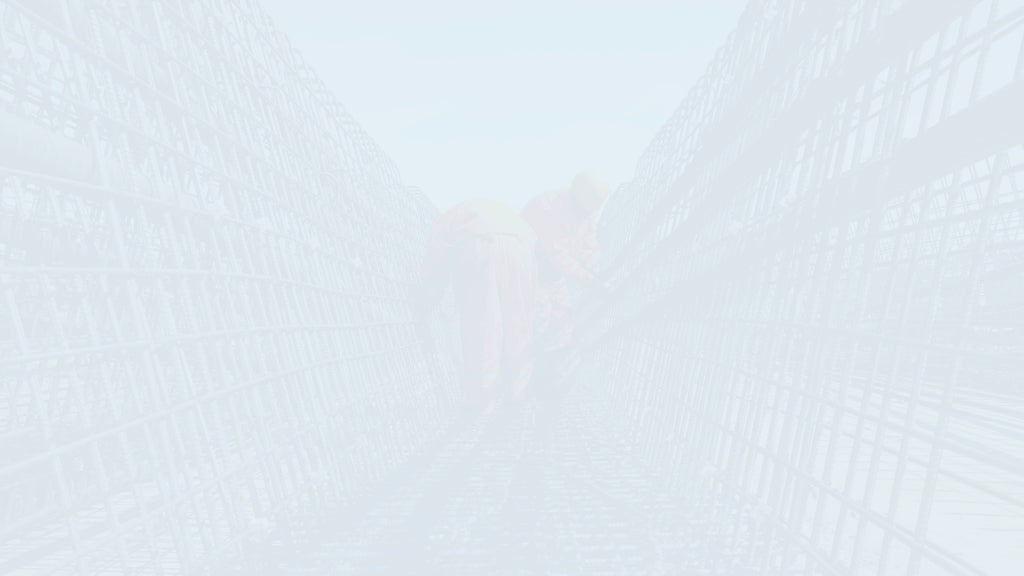 NEC A Legal Perspective of Early Warnings