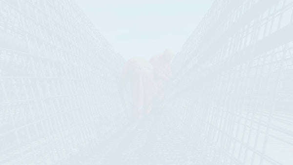 NEC3 ECSS Notification of Early Warning (EWN)Template