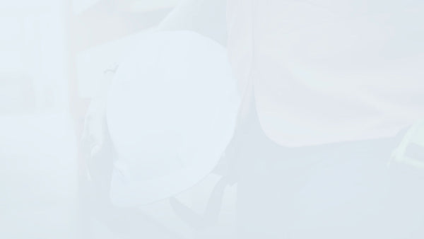 NEC3 ECSS Programme Submission Template